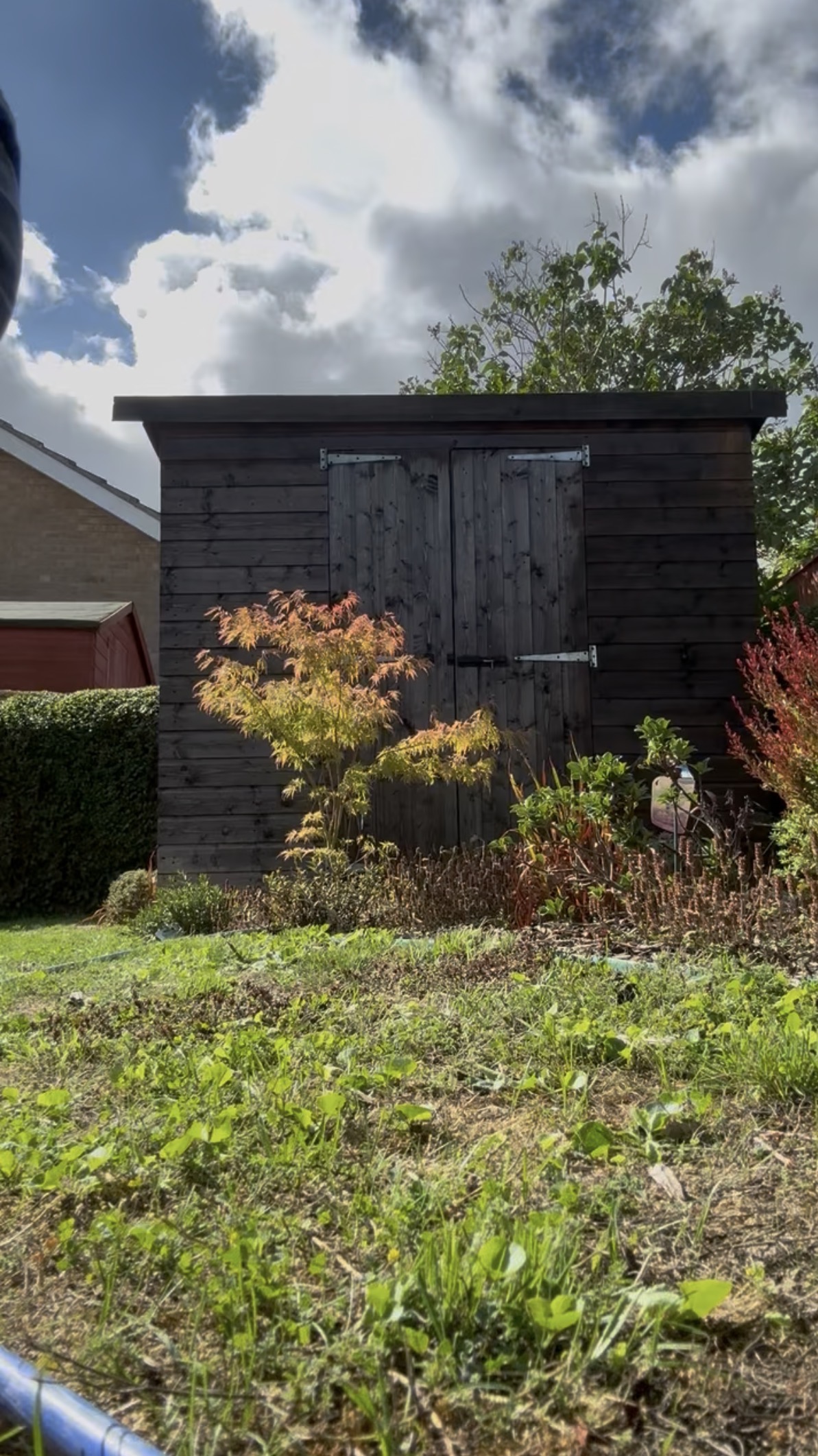 Sheds & summerhouses